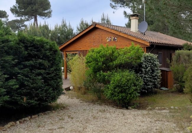 Chalet in Grayan-et-l´Hôpital - Chalet Virginie 1 Chalet in Grayan-et-l´Hôpital - Chalet Virginie 1