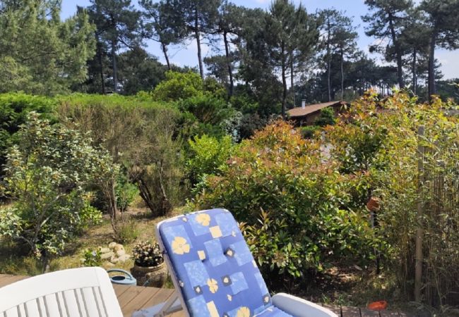 Chalet in Grayan-et-l´Hôpital - Chalet Virginie 1 Chalet in Grayan-et-l´Hôpital - Chalet Virginie 1