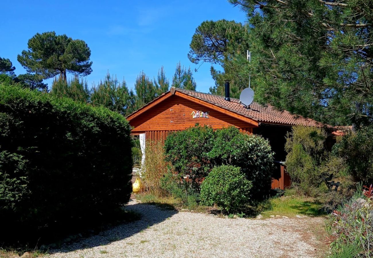 Chalet in Grayan-et-l´Hôpital - Chalet Virginie 1