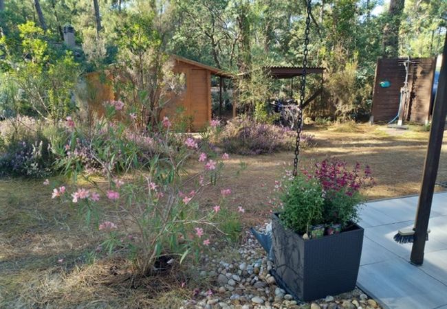 Chalet in Grayan-et-l´Hôpital - Chalet Grèce 13