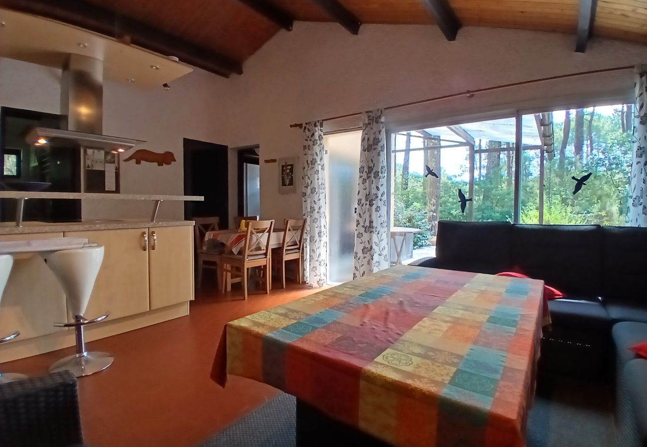 Chalet in Grayan-et-l´Hôpital - Chalet Grèce 13