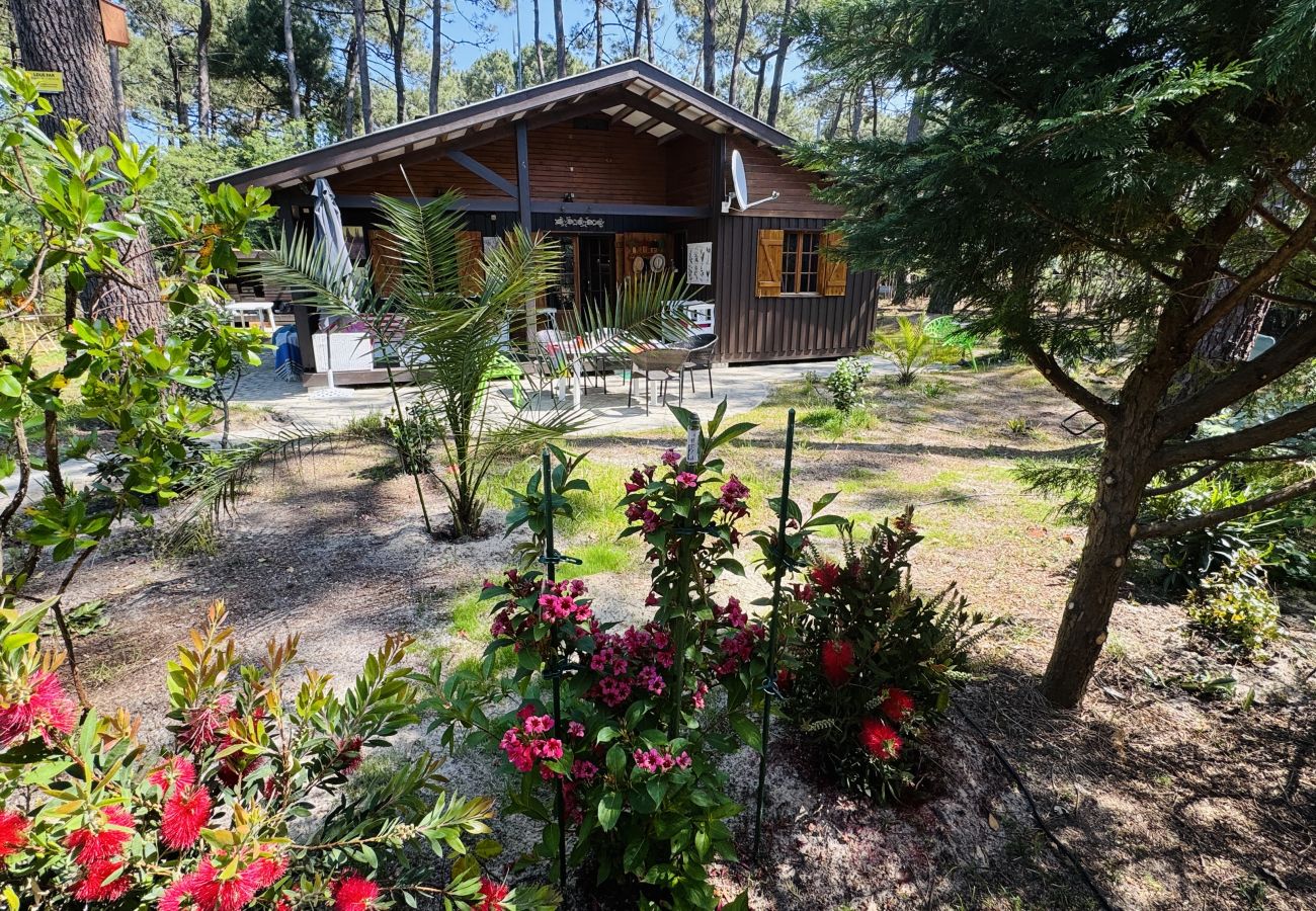 Chalet in Grayan-et-l´Hôpital - Chalet Tunisie 6