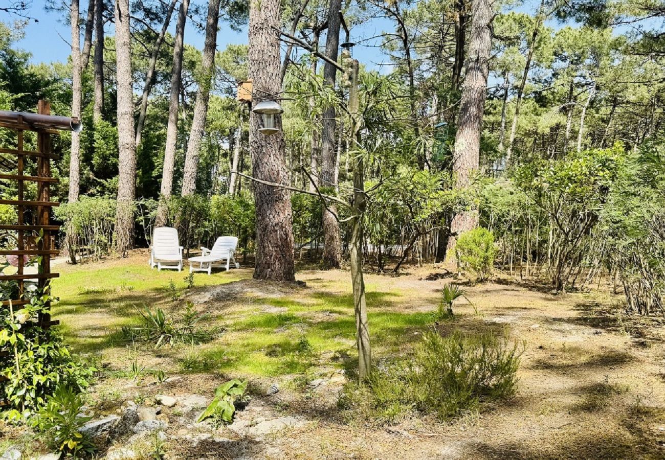 Chalet in Grayan-et-l´Hôpital - Chalet Tunisie 6
