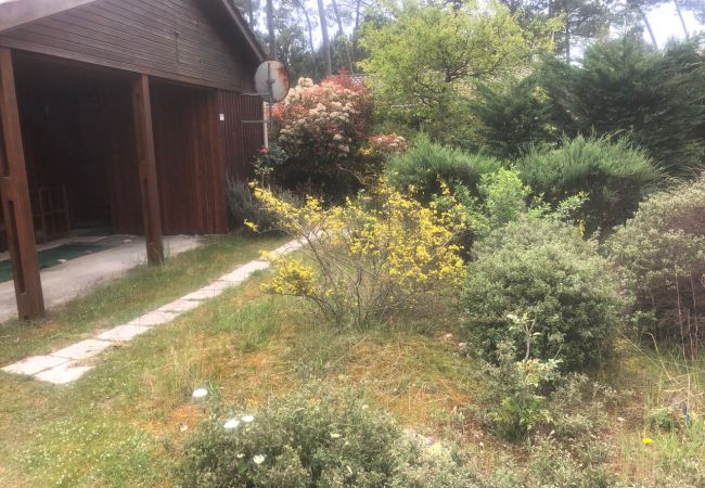 Chalet in Grayan-et-l´Hôpital - Chalet Arizona 21 Chalet in Grayan-et-l´Hôpital - Chalet Arizona 21