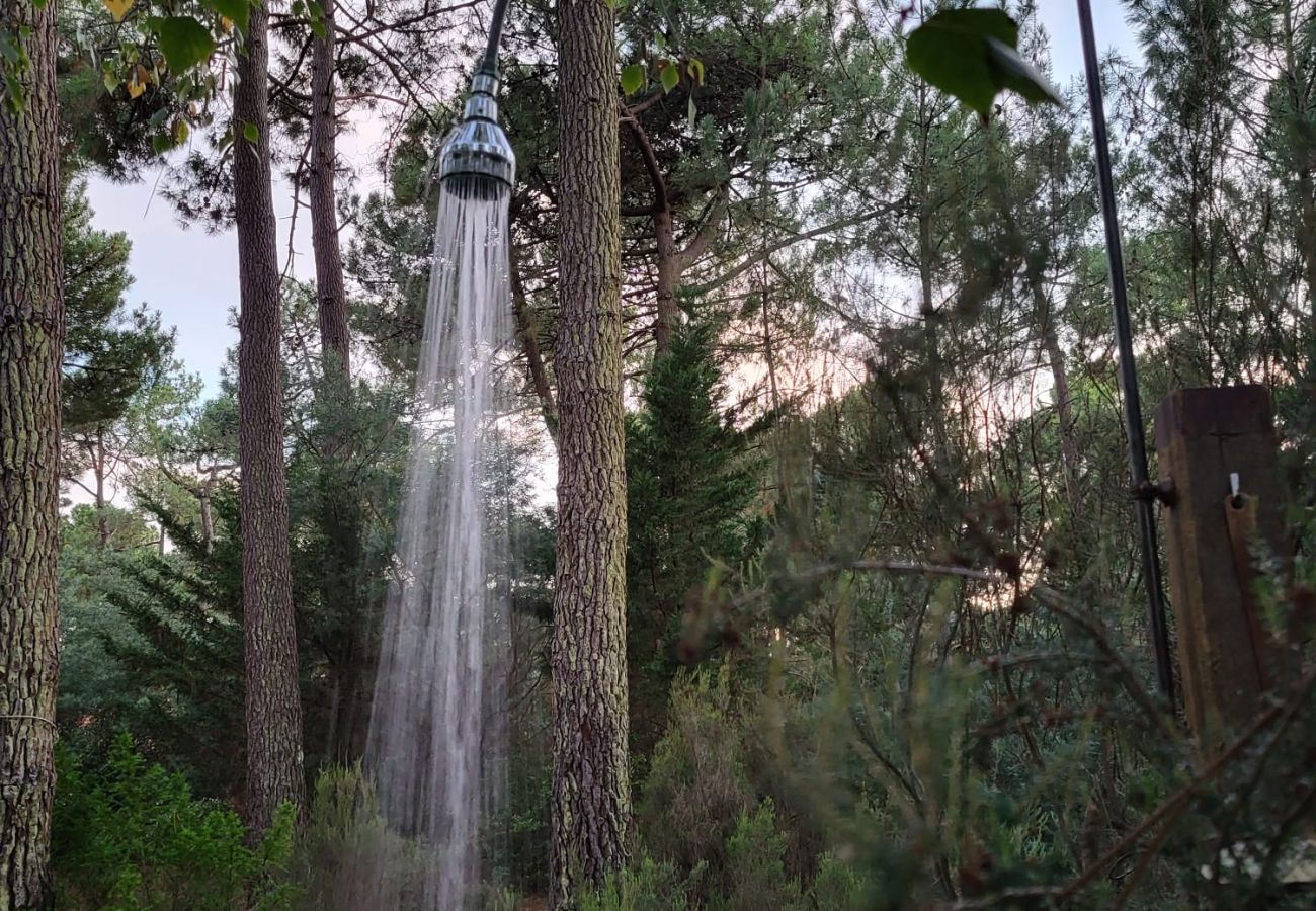 Chalet in Grayan-et-l´Hôpital - Chalet Surinam 7