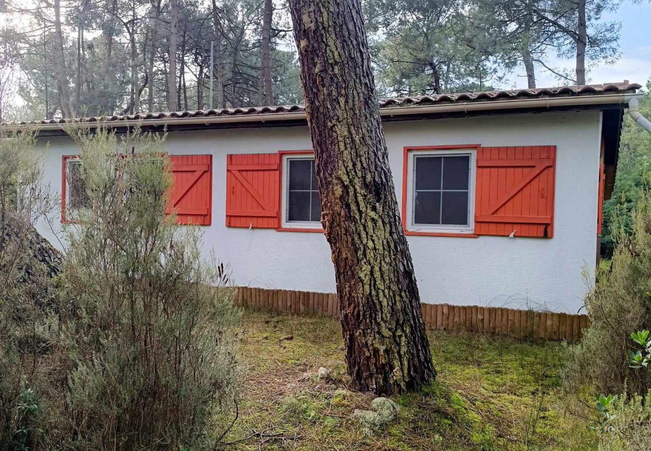 Chalet in Grayan-et-l´Hôpital - Chalet Belgique 5
