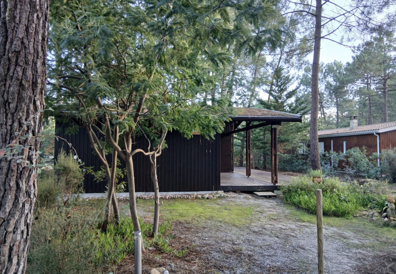 Chalet in Grayan-et-l´Hôpital - Chalet Thailande 11