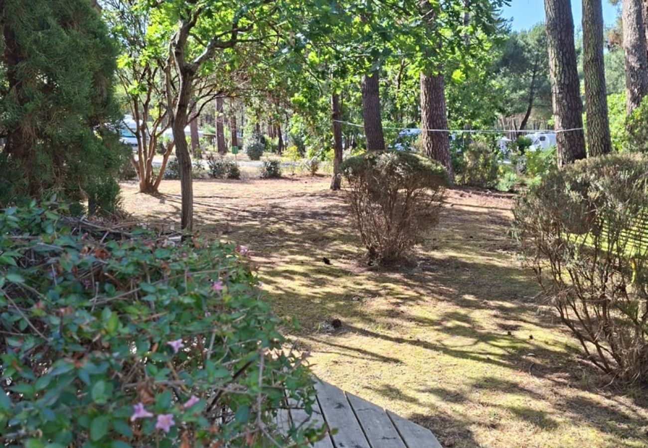 Chalet in Grayan-et-l´Hôpital - Chalet Floride 12