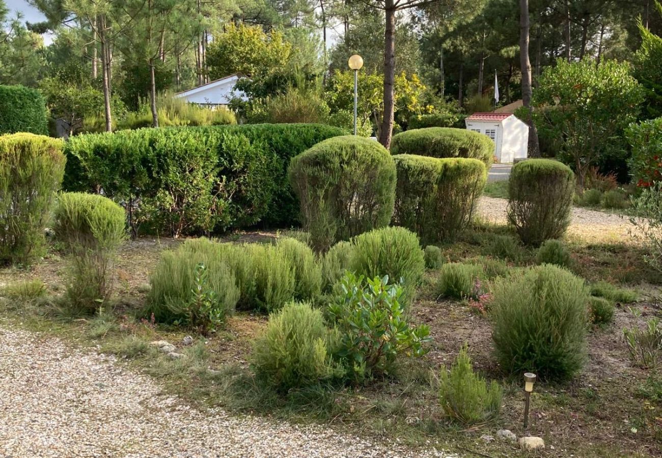 Chalet in Grayan-et-l´Hôpital - Chalet Floride 3