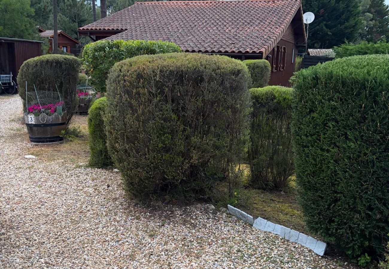 Chalet in Grayan-et-l´Hôpital - Chalet Floride 3