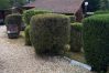 Chalet in Grayan-et-l´Hôpital - Chalet Floride 3