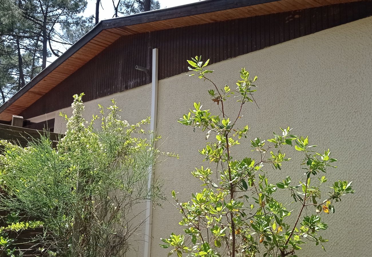 Villa in Grayan-et-l´Hôpital - FRANCE 11