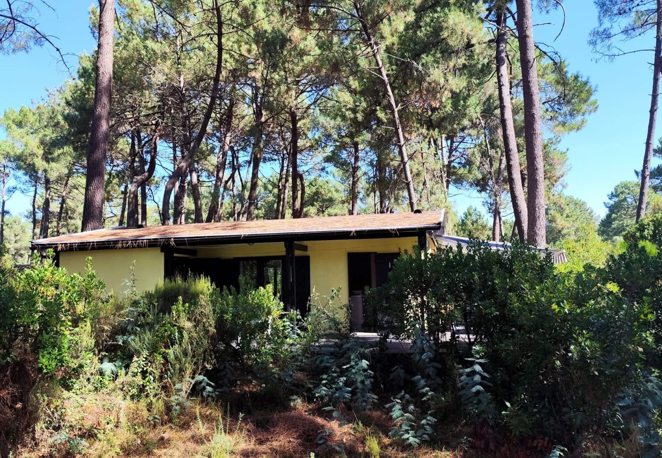 Villa in Grayan-et-l´Hôpital - PORTUGAL 2