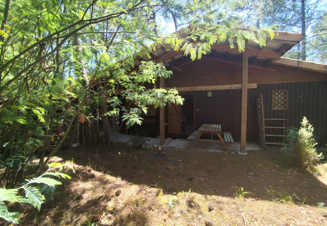 Villa in Grayan-et-l´Hôpital - SOUDAN 5