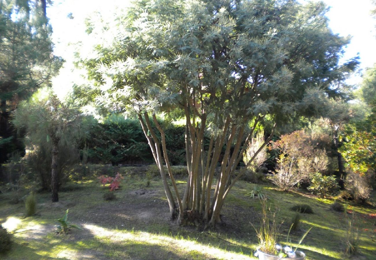Chalet à Grayan-et-l´Hôpital - Chalet Chili 3