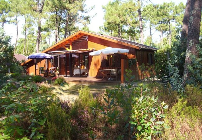 Chalet à Grayan-et-l´Hôpital - Chalet Paraguay 2