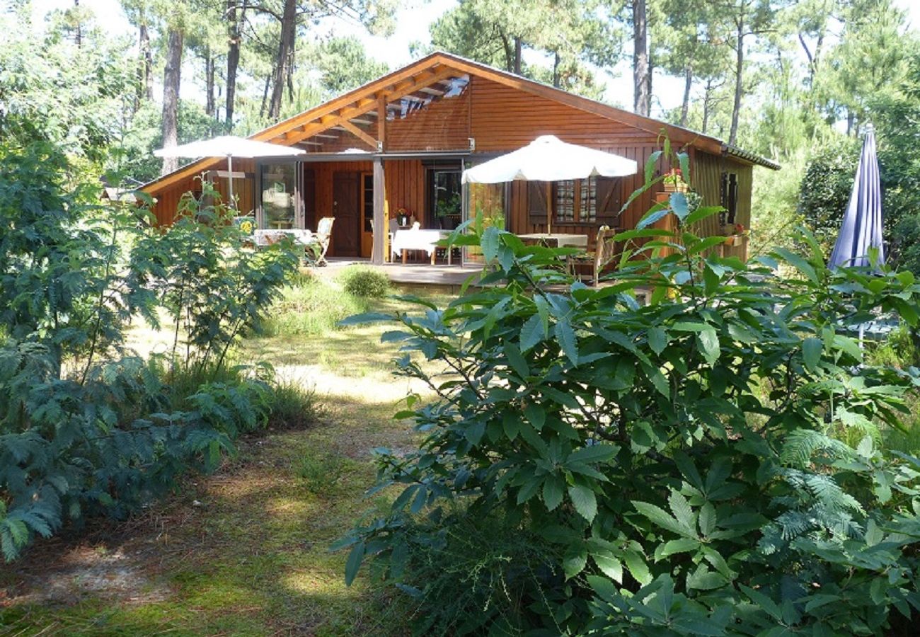 Chalet à Grayan-et-l´Hôpital - Chalet Paraguay 2