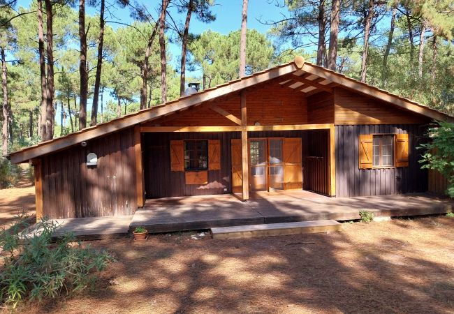 Chalet à Grayan-et-l´Hôpital - Chalet Amérique du Sud 17