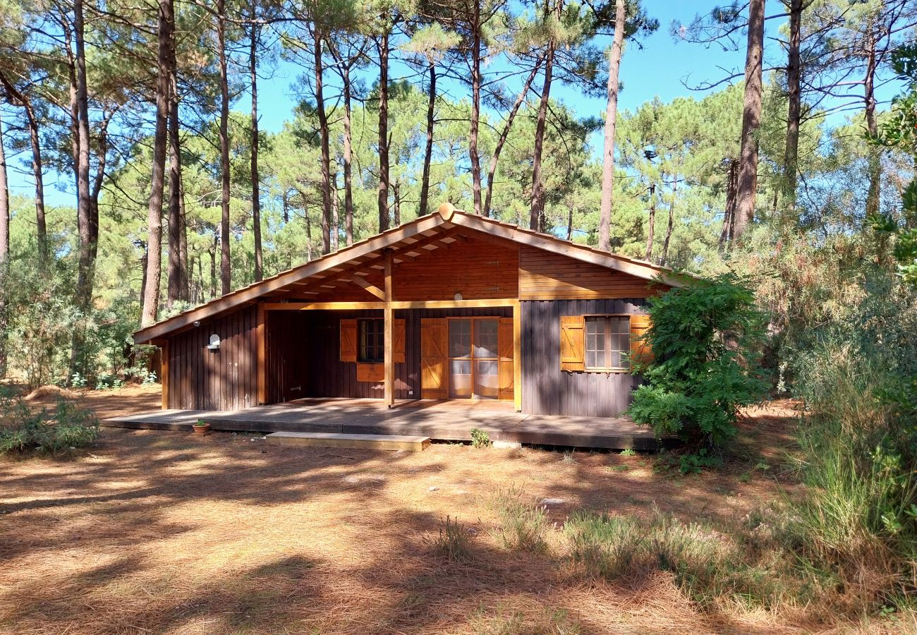 Chalet à Grayan-et-l´Hôpital - Chalet Amérique du Sud 17 Chalet à Grayan-et-l´Hôpital - Chalet Amérique du Sud 17