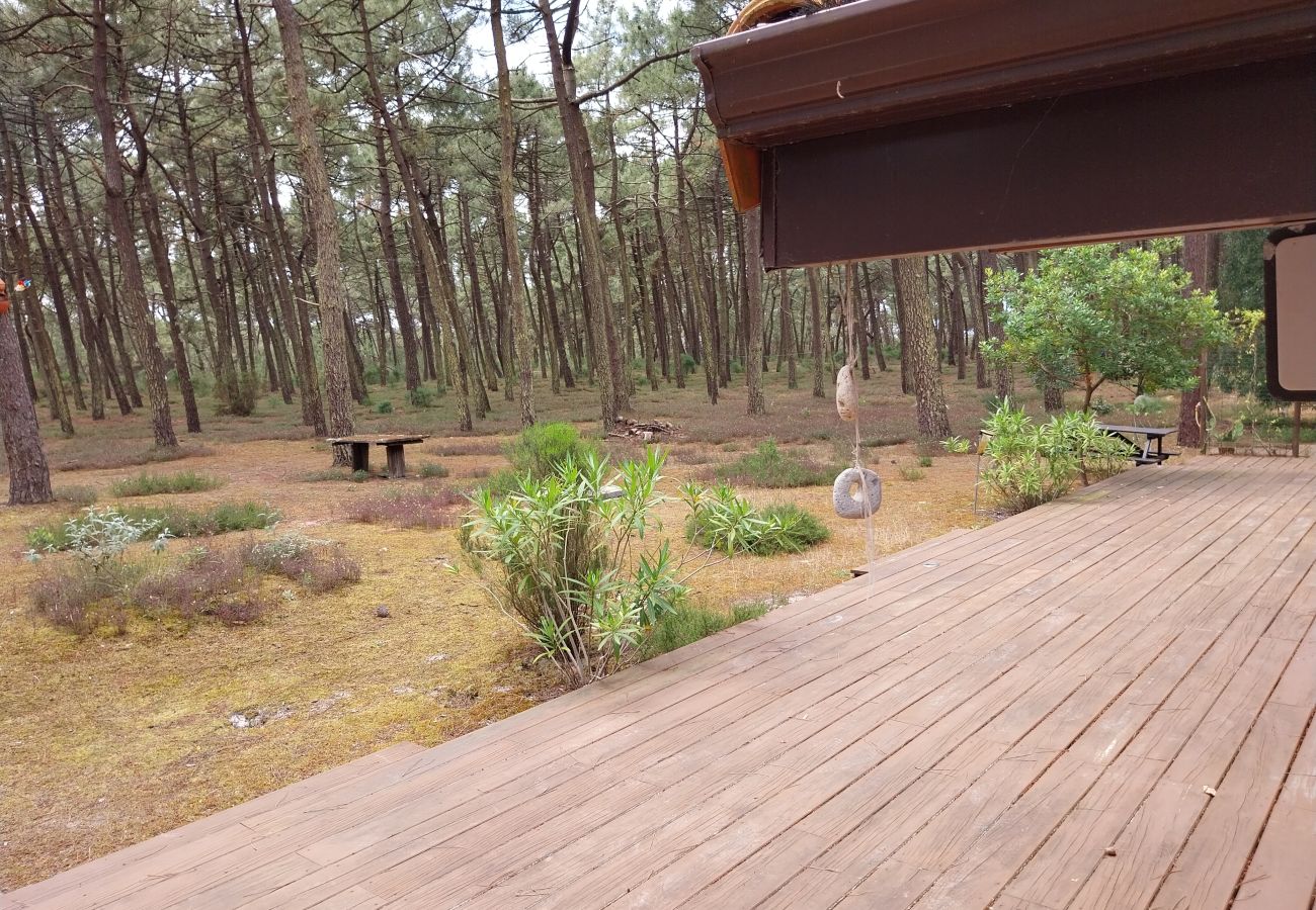 Chalet à Grayan-et-l´Hôpital - Chalet Nigéria 9