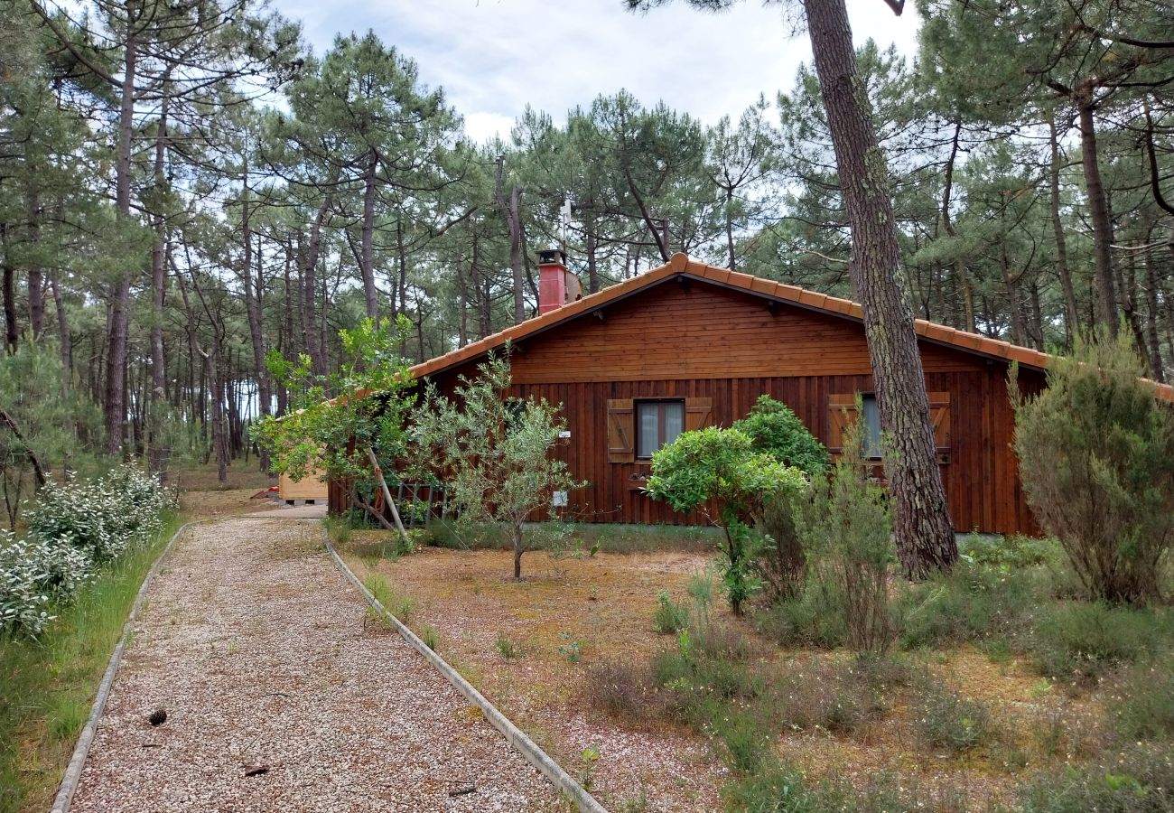 Chalet à Grayan-et-l´Hôpital - Chalet Nigéria 9