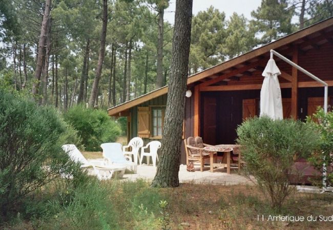 Chalet à Grayan-et-l´Hôpital - Chalet Amérique du Sud 11