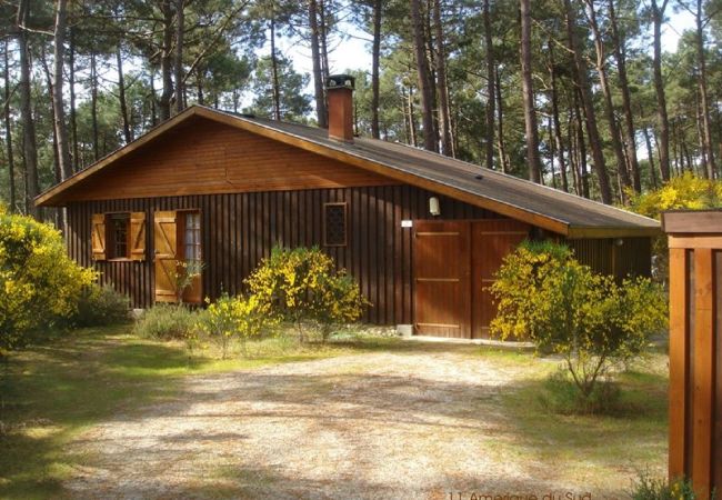 Chalet à Grayan-et-l´Hôpital - Chalet Amérique du Sud 11