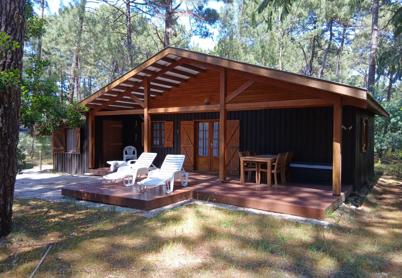 Chalet à Grayan-et-l´Hôpital - Chalet Amérique du Sud 11