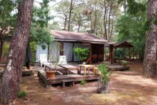 Chalet à Grayan-et-l´Hôpital - Chalet Afrique 16