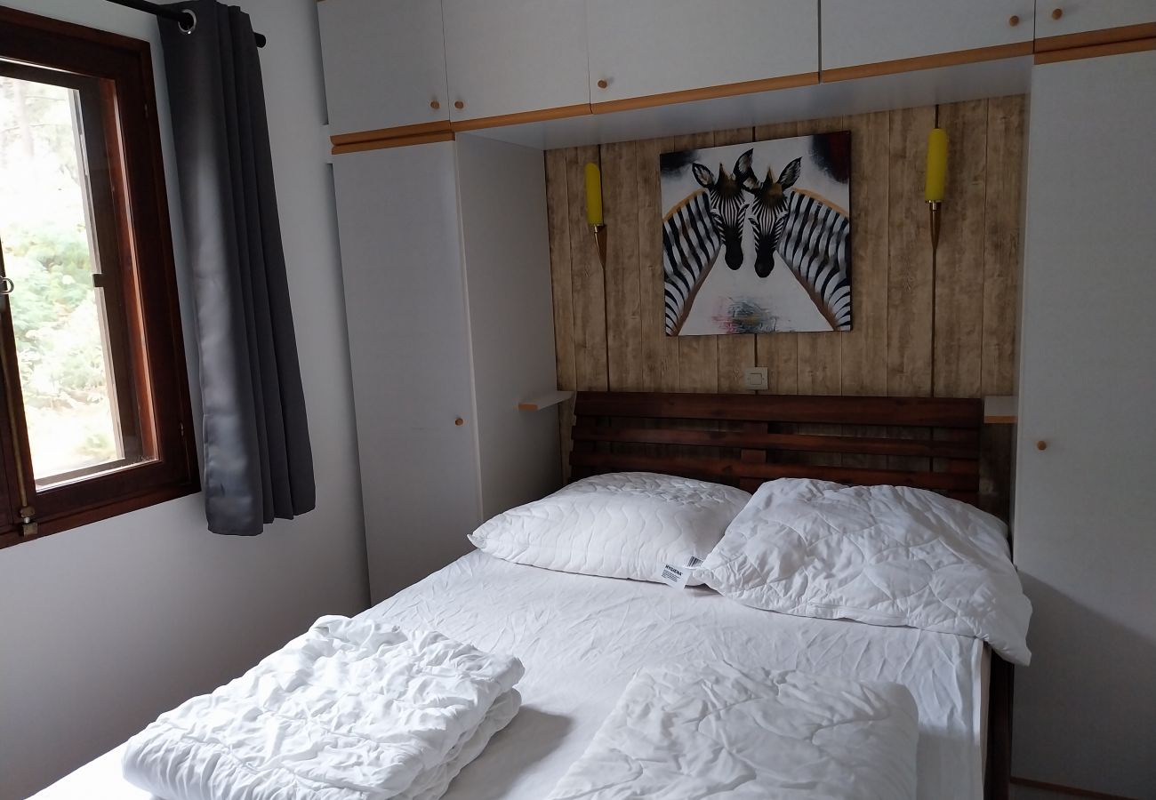 Chalet à Grayan-et-l´Hôpital - Chalet Amérique du Sud 13