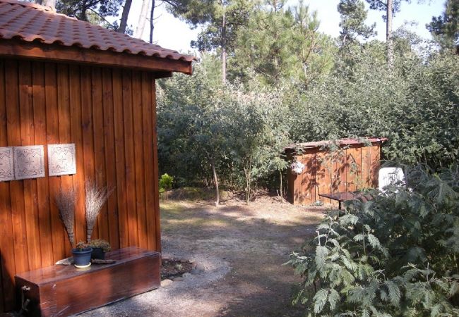 Chalet à Grayan-et-l´Hôpital - Chalet Amérique du Sud 16