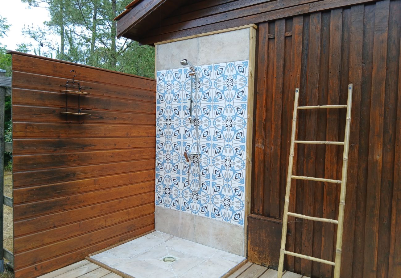 Chalet à Grayan-et-l´Hôpital - Chalet Amérique du Sud 16