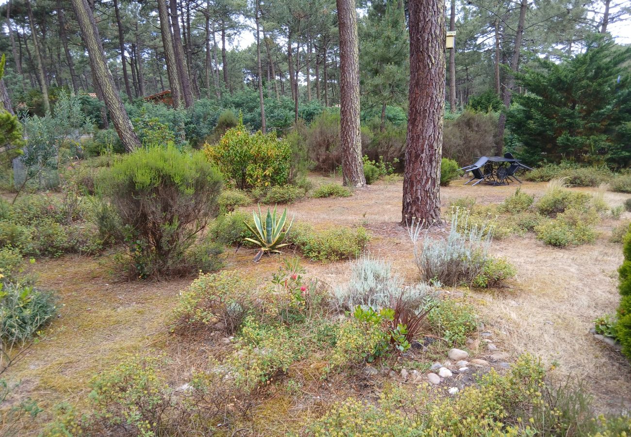 Chalet à Grayan-et-l´Hôpital - Chalet Amérique du Sud 16