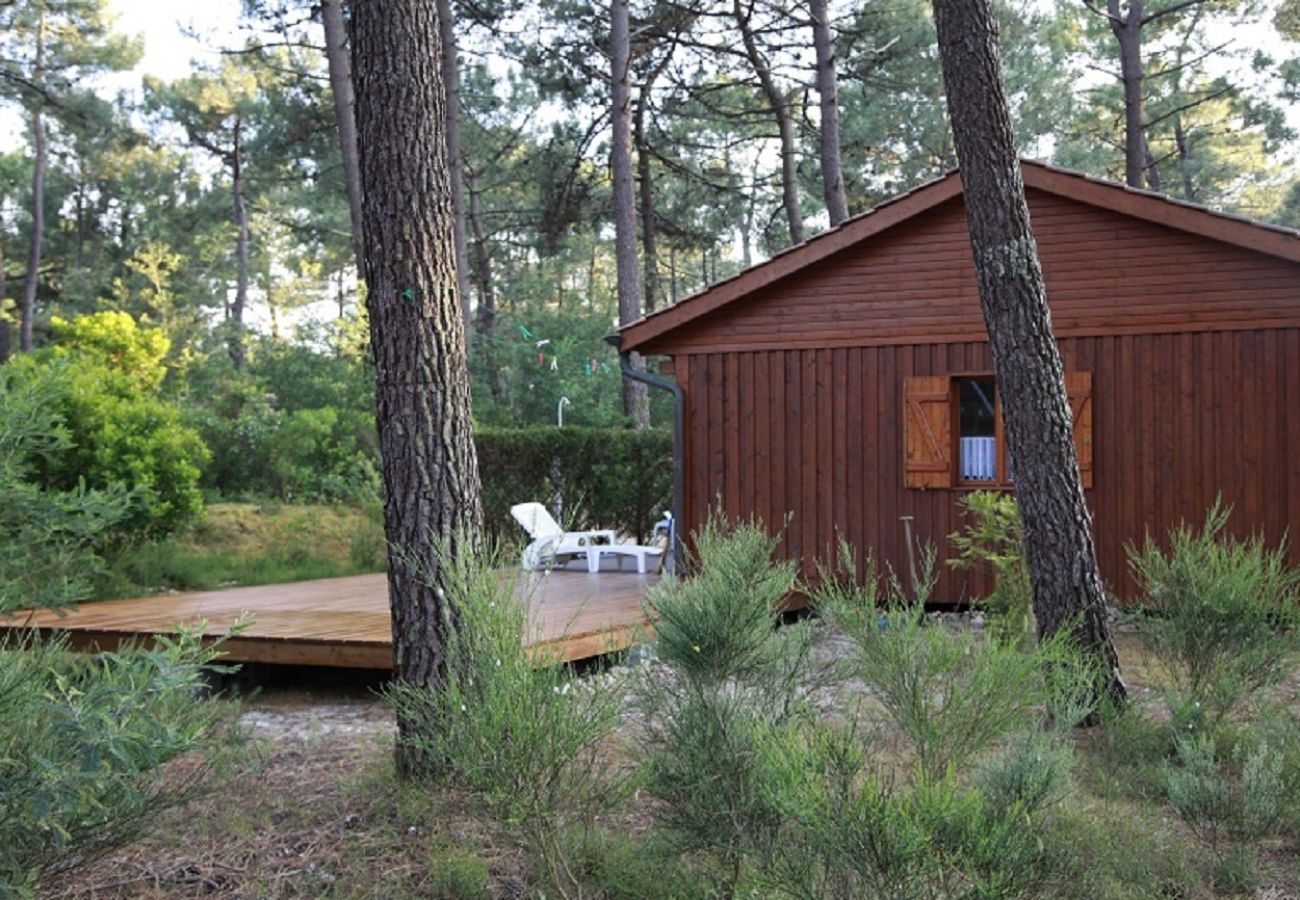 Chalet à Grayan-et-l´Hôpital - Chalet Amérique du Sud 19