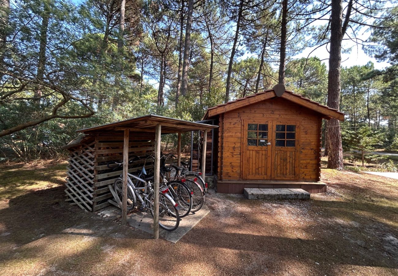 Chalet à Grayan-et-l´Hôpital - Chalet Amérique du Sud 8
