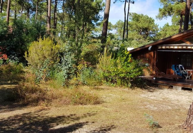 Chalet à Grayan-et-l´Hôpital - Chalet Bahia 2