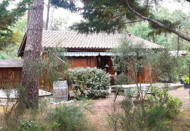 Chalet à Grayan-et-l´Hôpital - Chalet Brésil 14