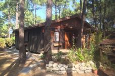 Chalet à Grayan-et-l´Hôpital - Chalet Tchad 10