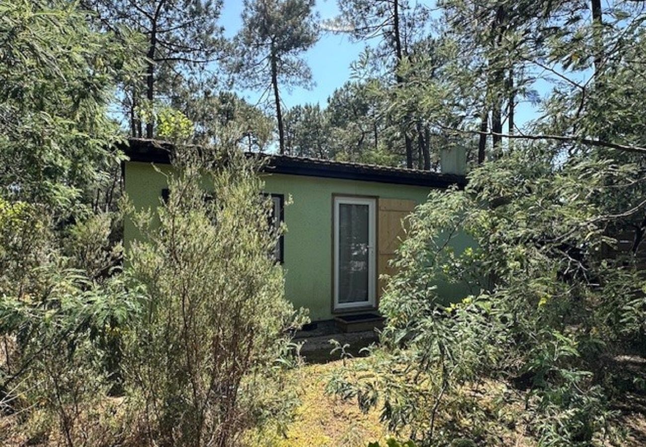 Chalet à Grayan-et-l´Hôpital - Chalet Europe 20