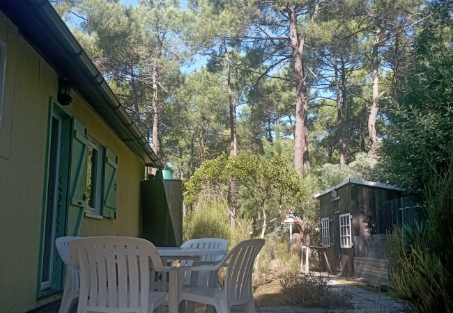 Chalet à Grayan-et-l´Hôpital - Chalet Europe 29 Chalet à Grayan-et-l´Hôpital - Chalet Europe 29