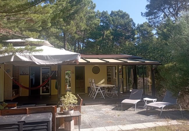 Chalet à Grayan-et-l´Hôpital - Chalet Europe 29