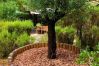 Chalet à Grayan-et-l´Hôpital - Chalet Europe 29 Chalet à Grayan-et-l´Hôpital - Chalet Europe 29