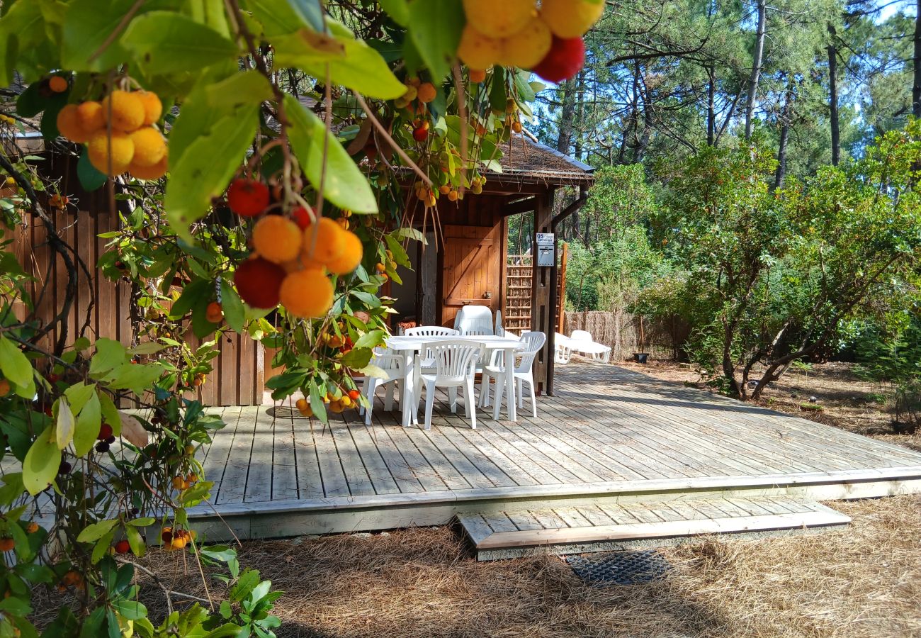 Maison mitoyenne à Grayan-et-l´Hôpital - Maison Duo Centrafrique 5 Ouest