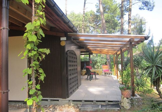 Chalet à Grayan-et-l´Hôpital - Chalet France 15