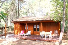 Chalet à Grayan-et-l´Hôpital - Chalet Honduras 3