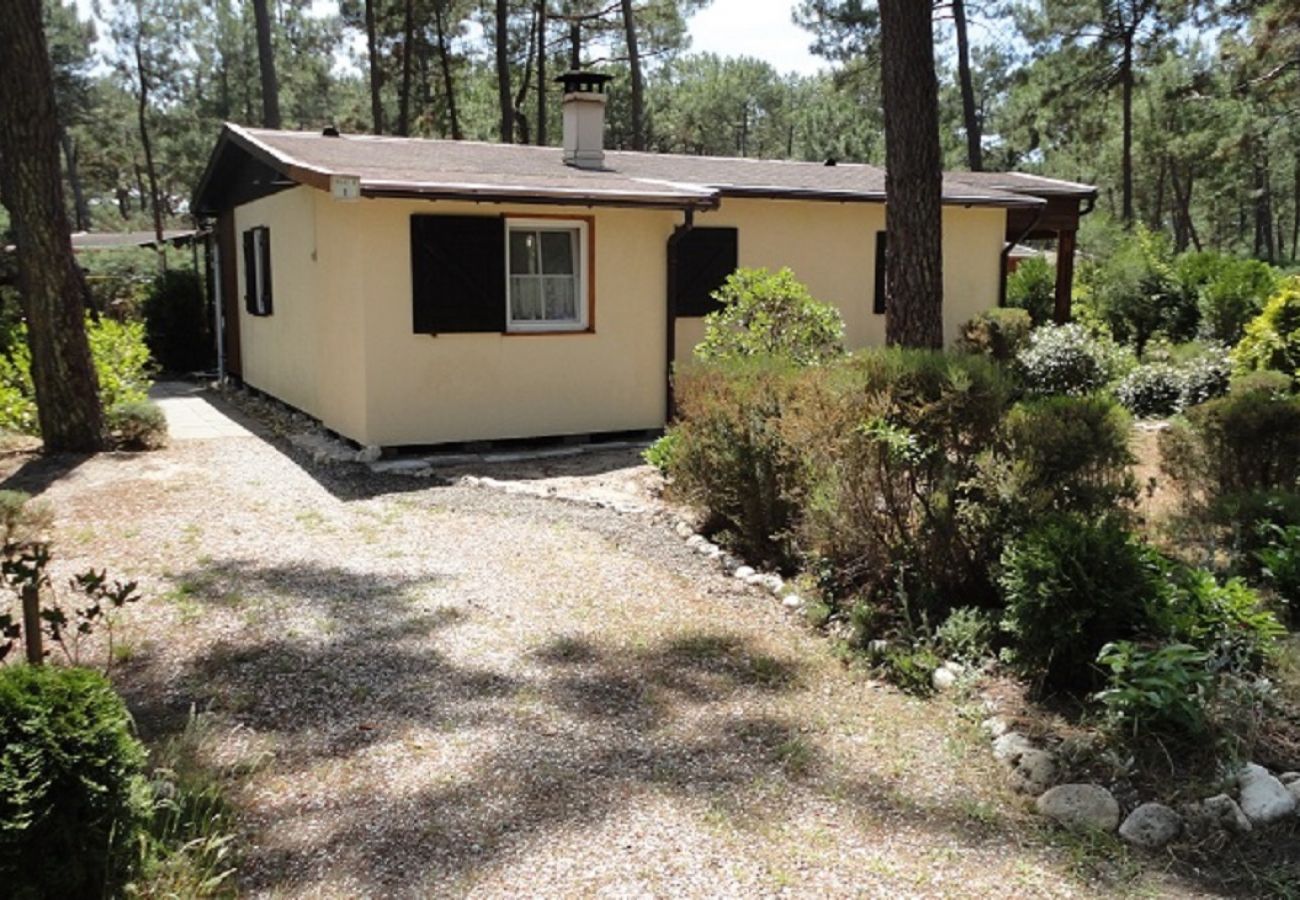 Chalet à Grayan-et-l´Hôpital - Chalet Suède 1