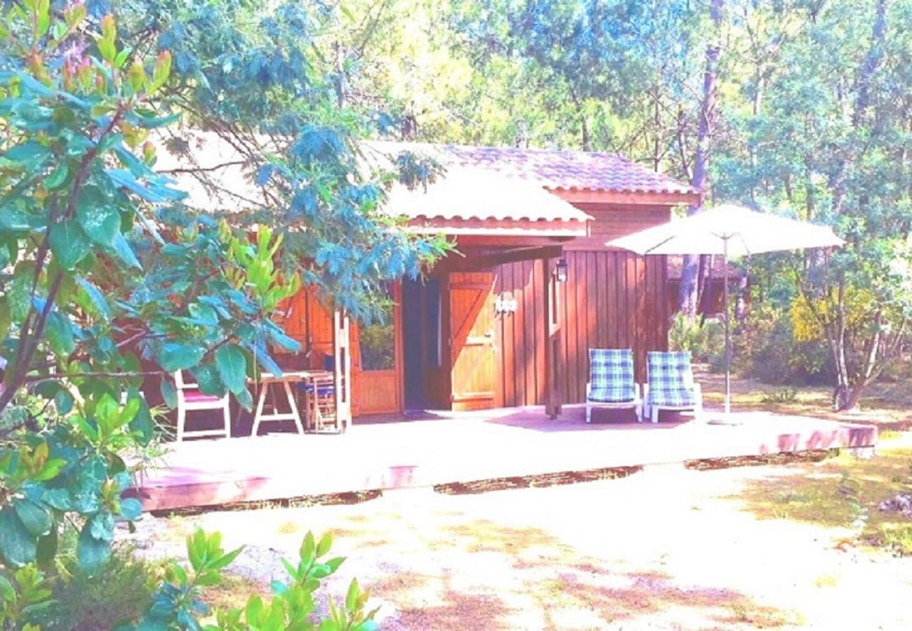 Chalet à Grayan-et-l´Hôpital - Chalet Salvador 5