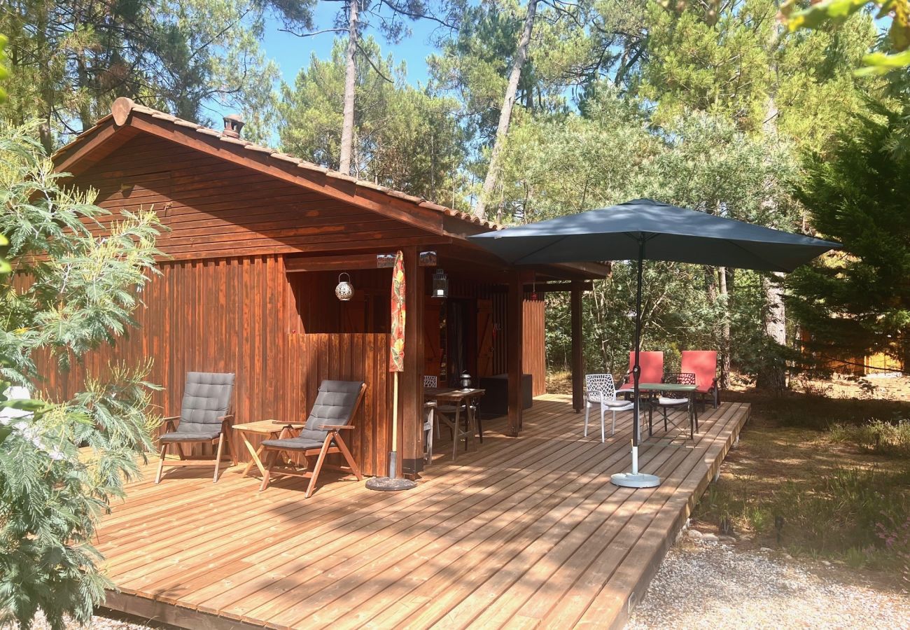 Chalet à Grayan-et-l´Hôpital - Chalet Salvador 5