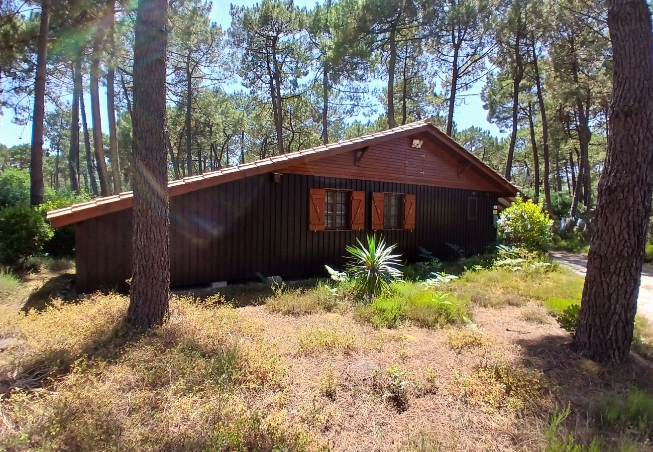 Chalet à Grayan-et-l´Hôpital - Chalet Martinique 3