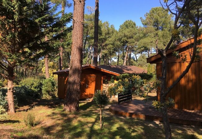 Chalet à Grayan-et-l´Hôpital - Chalet Pérou 1